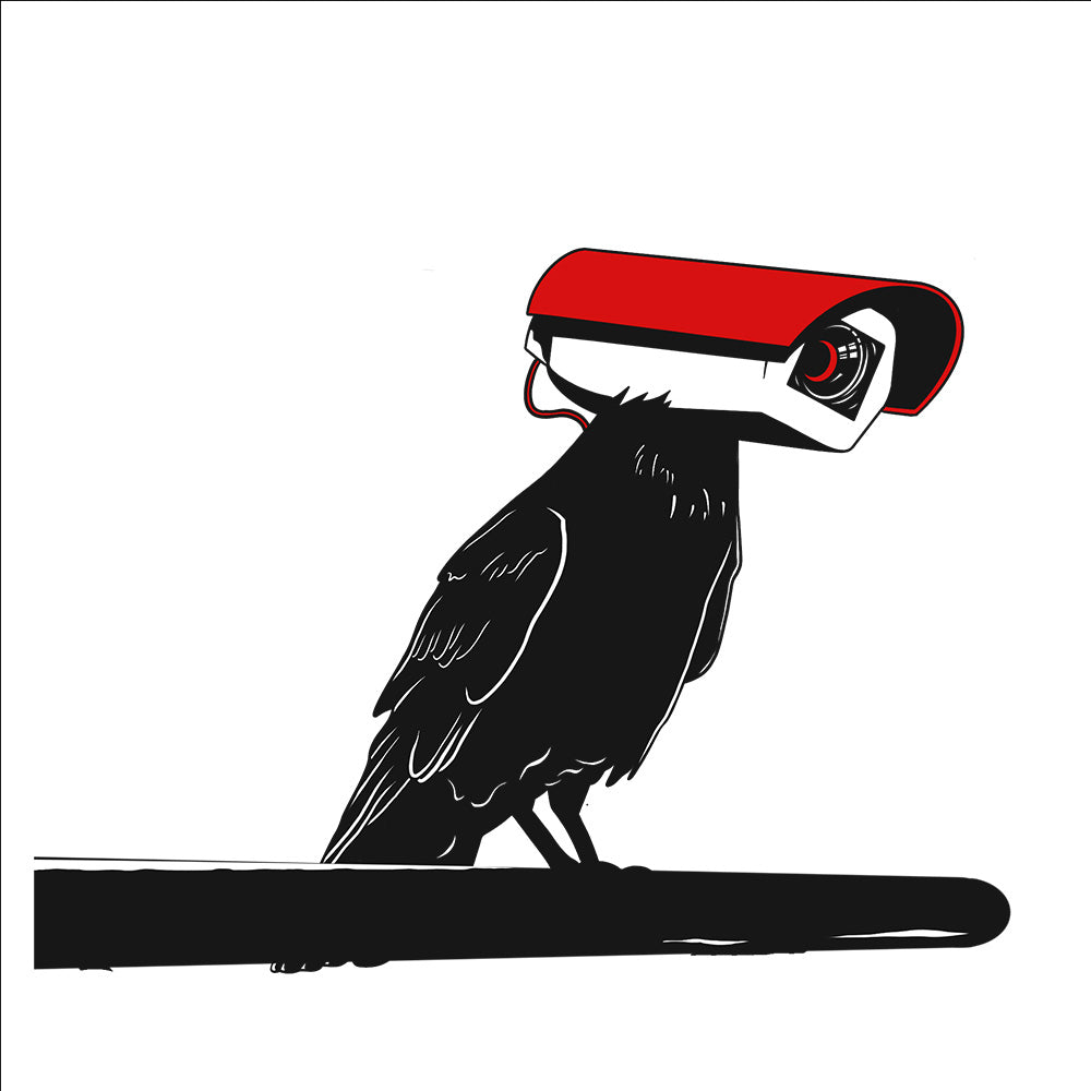 Surveillance Raven - Women's T-Shirt